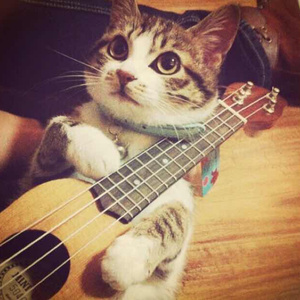 郭秀云《初解罗裳》电影完整版
